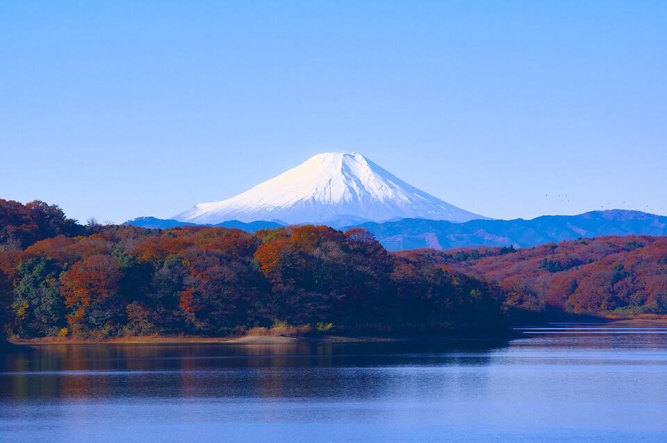 Consumentenvertrouwen Japan licht gedaald