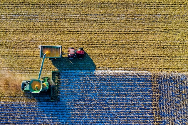 Beursblik: Degroof Petercam verlaagt koersdoel Tessenderlo