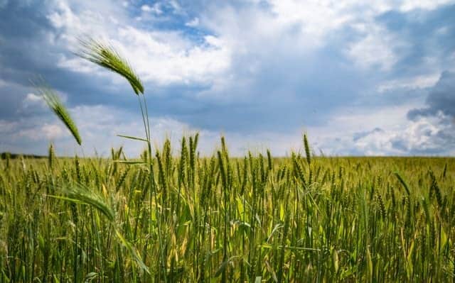 Kleine winst in Brussel na cijferregen