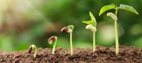 Groene transitie biedt beleggers kansen
